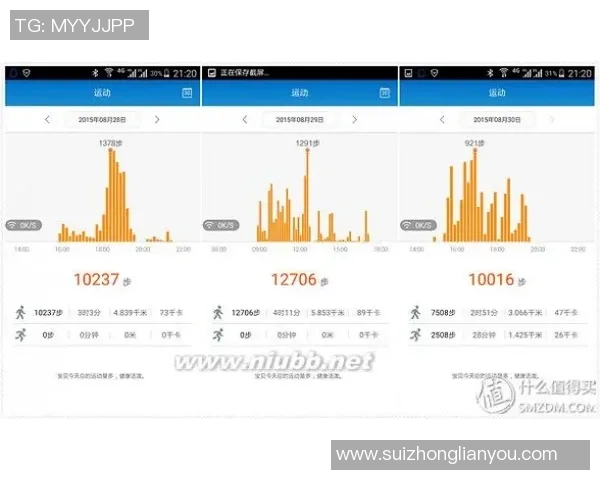 数据分析揭示WE战队在赛事中的实力与表现全景解析