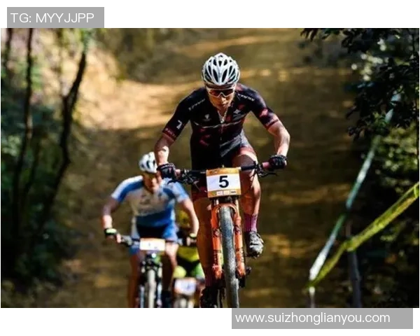 上海乒乓球队状态飙升创新高引发全国关注与期待