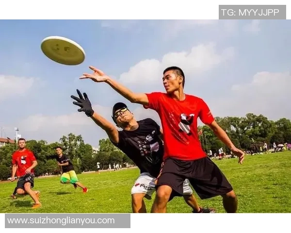 深圳飞盘队荣登全国飞盘力量排行榜首位展现强大实力与团队精神